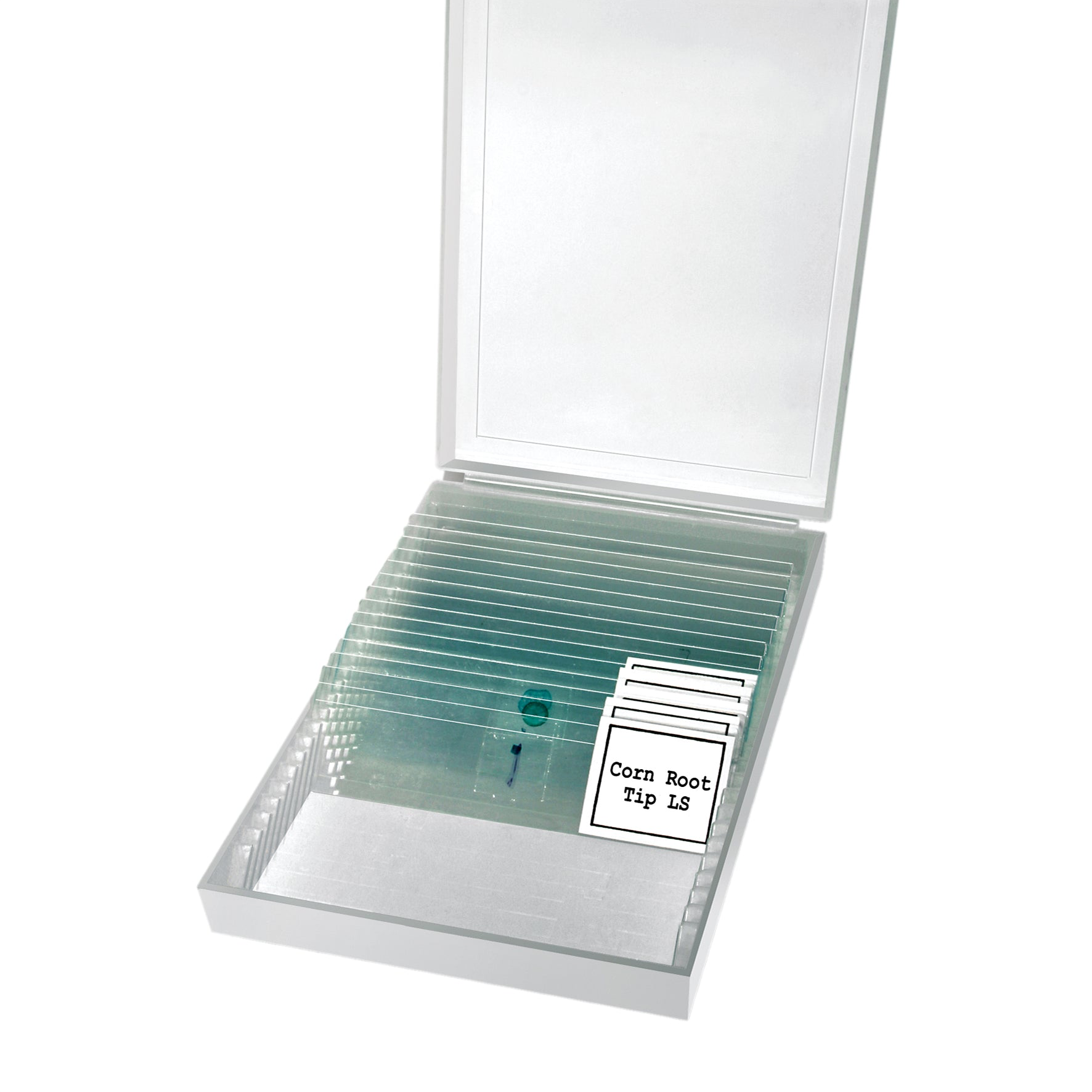 Erudit Basic Mono 40x-400x Microscope