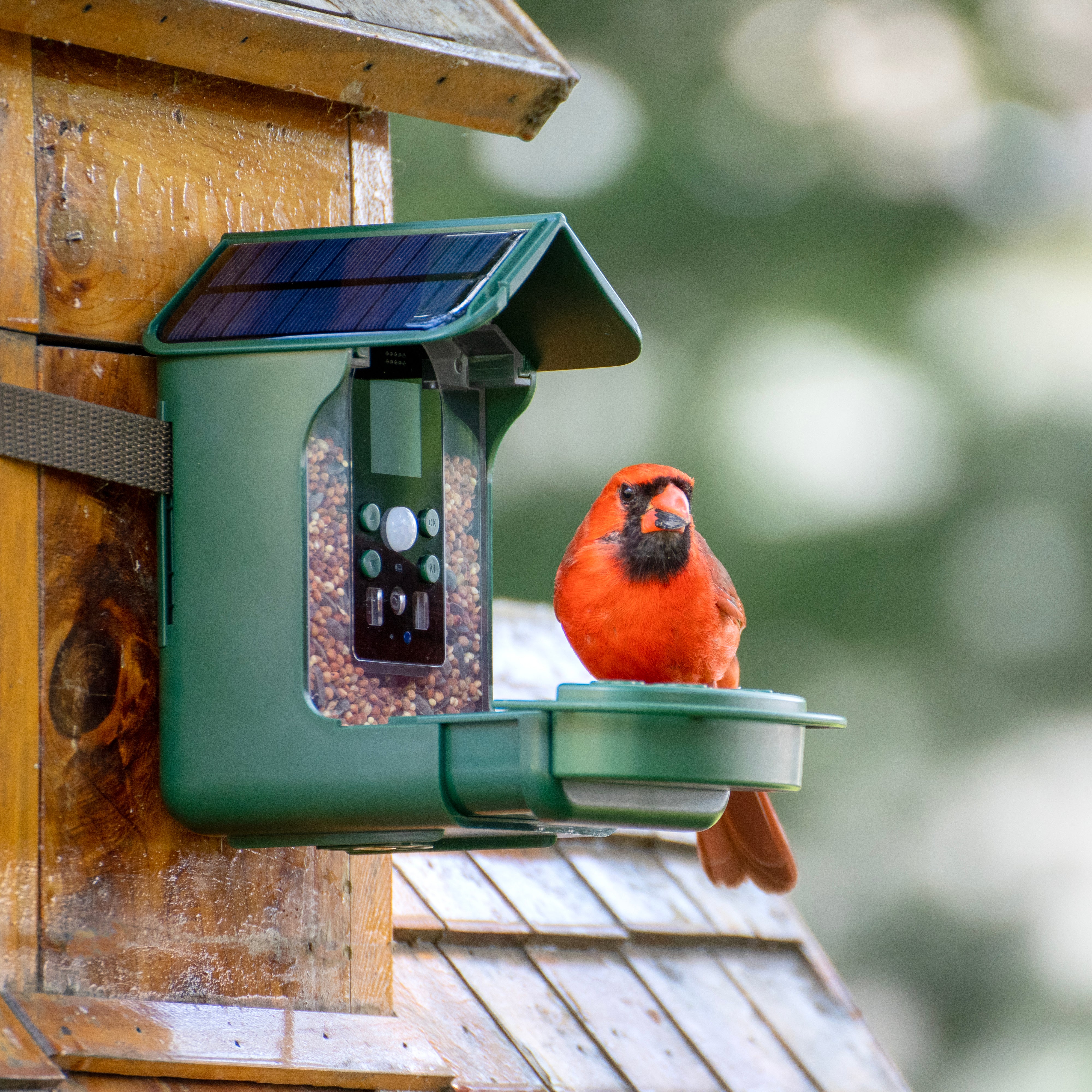 Bresser Bird Feeder Camera
