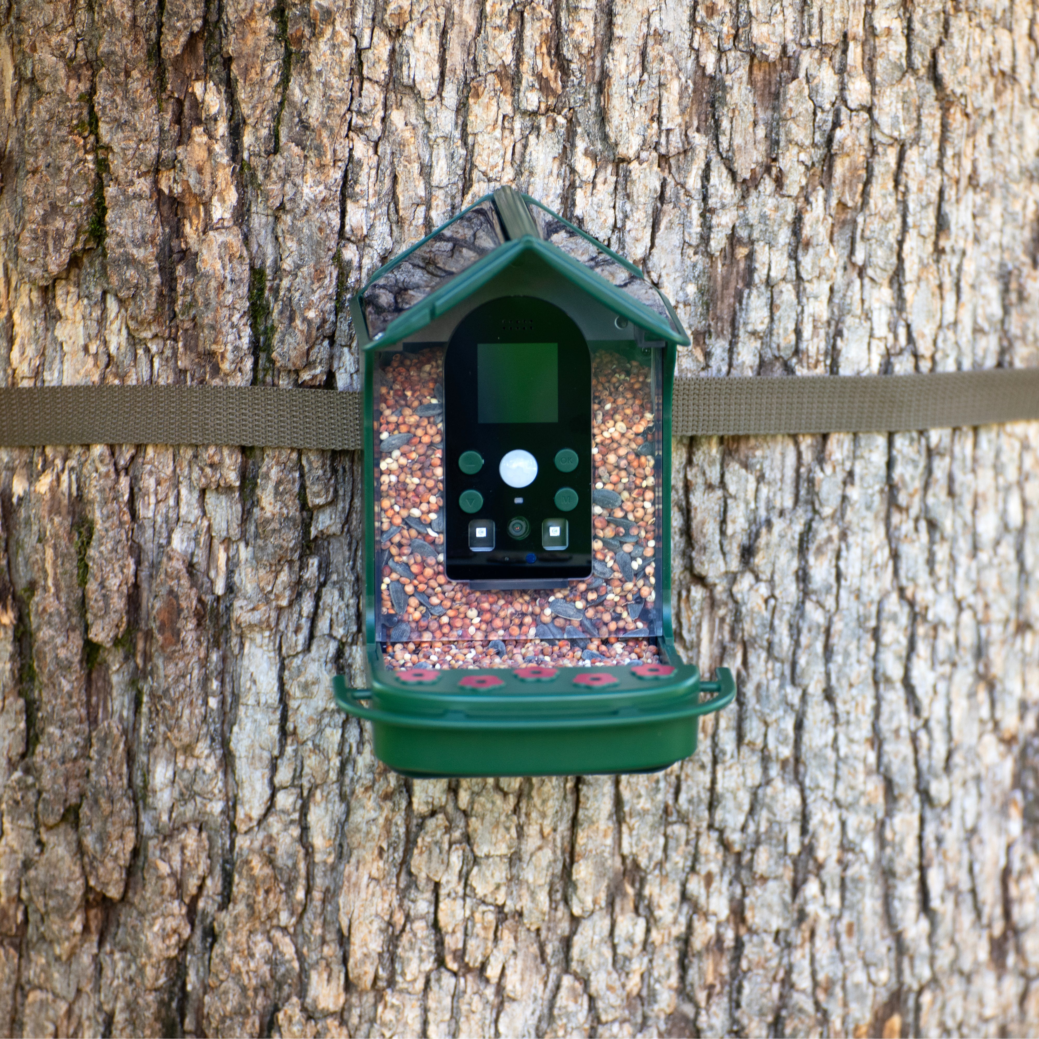 Bresser Bird Feeder Camera