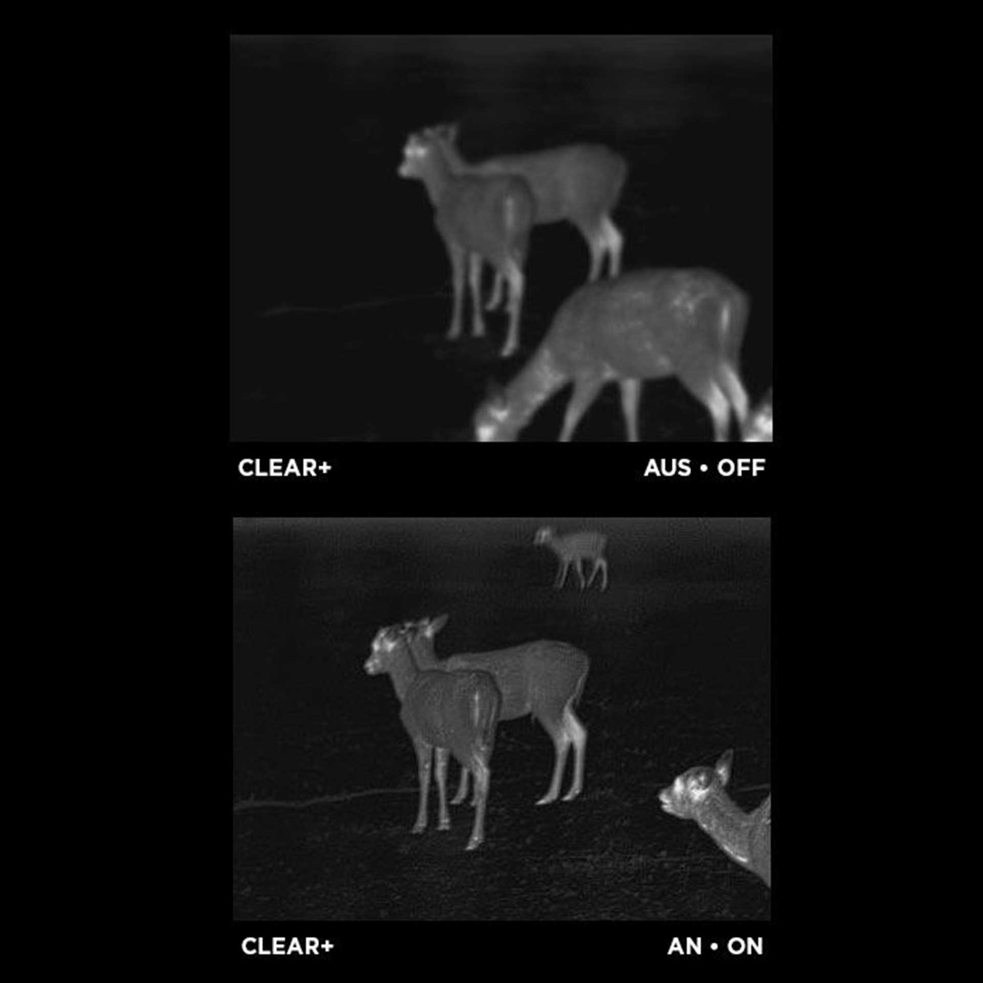 Apex 54mm Thermal Monocular