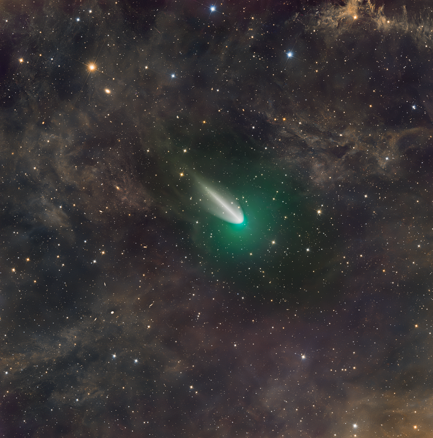 The Comet That Woke Twice: 220P/McNaught and the Living Sky