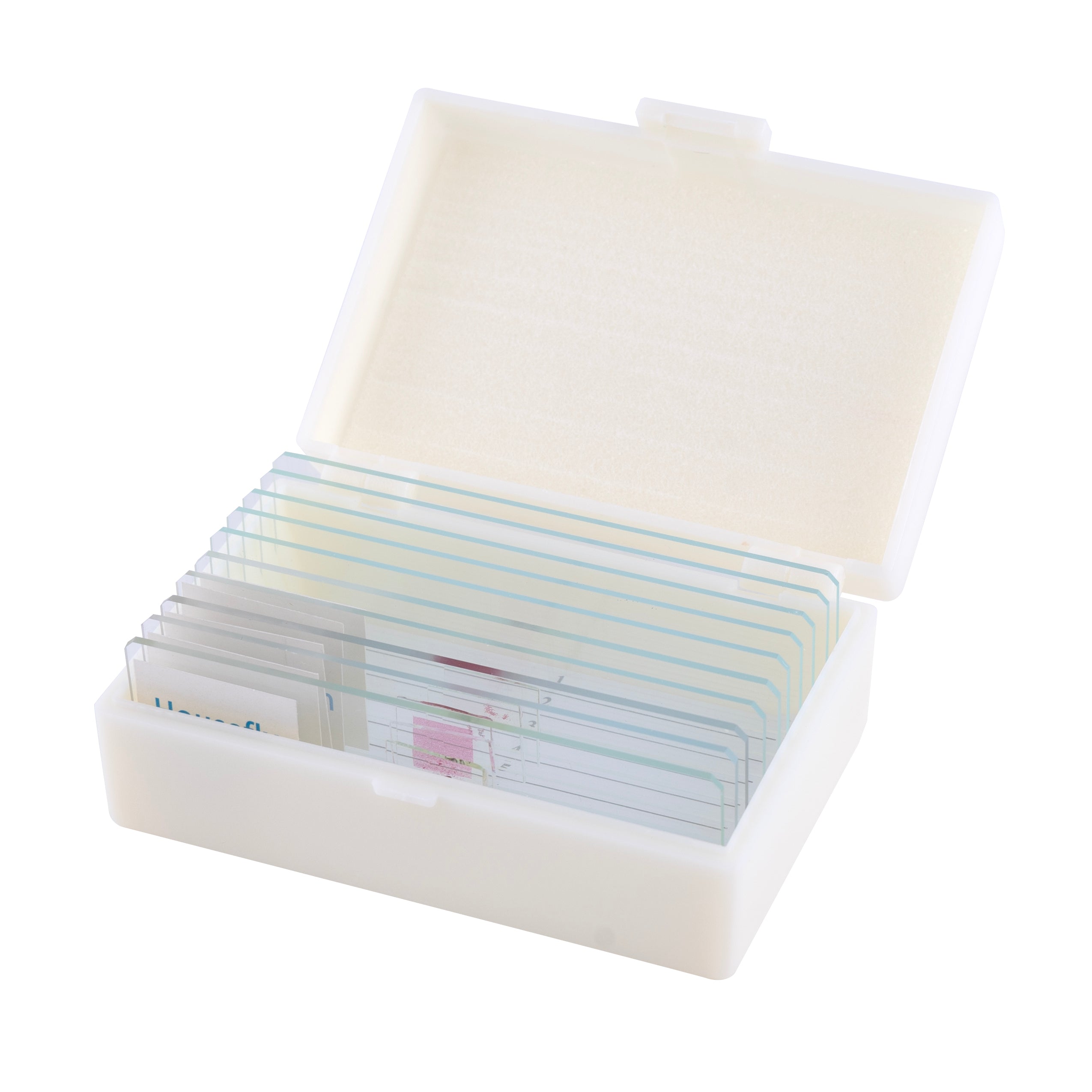 National Geographic 40X-1600X Microscopio LCD