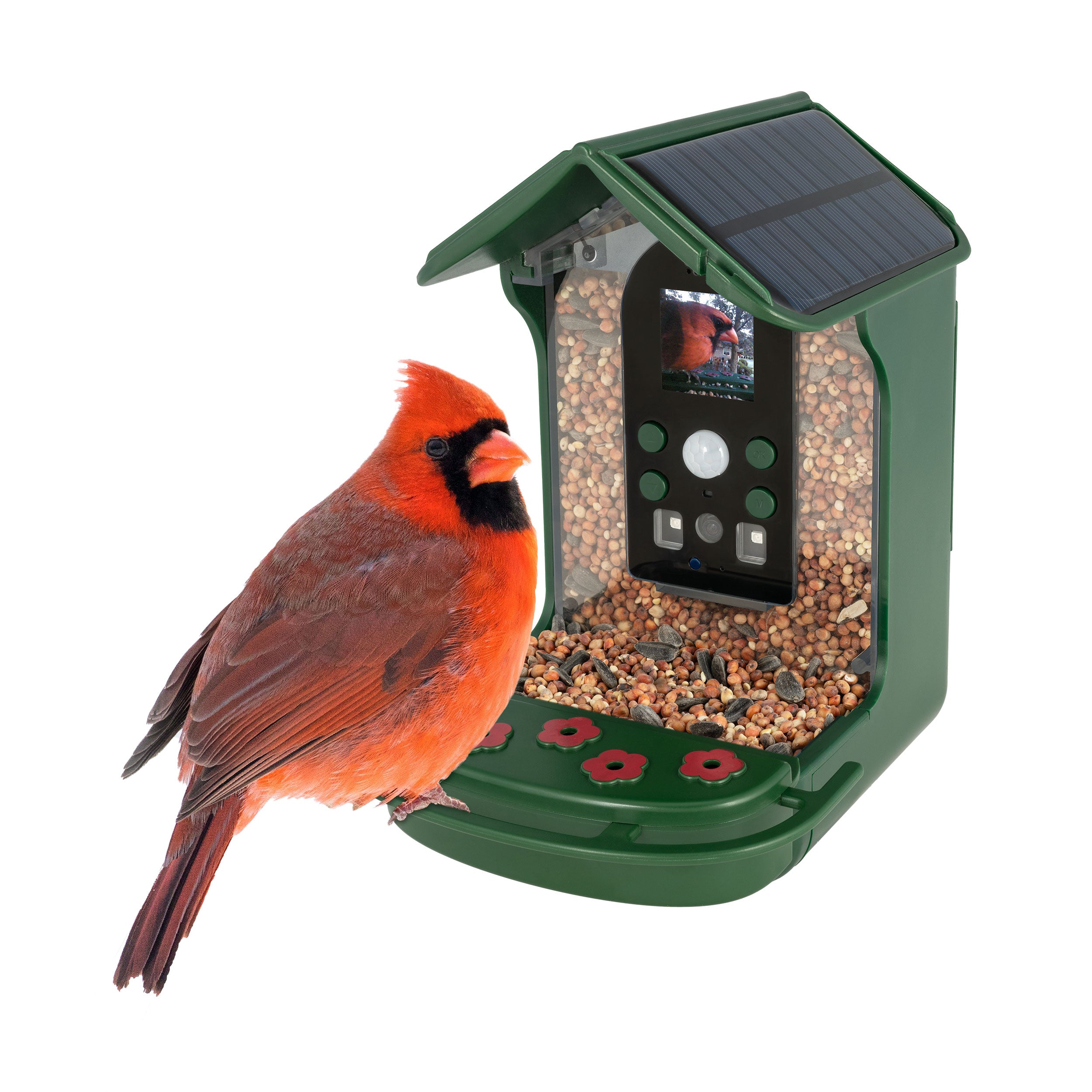 Bresser Bird Feeder Kamera