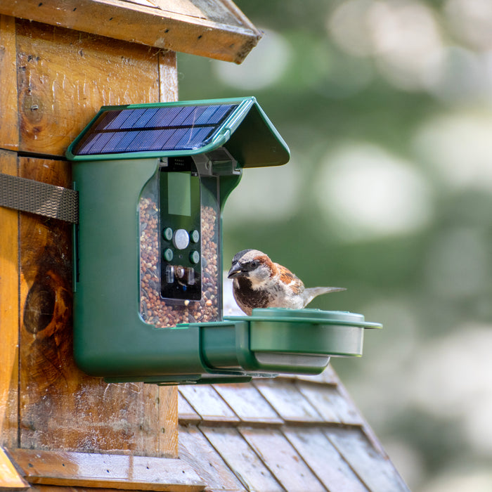 Explore Scientific Wild Bird Feeder Wi-Fi Camera