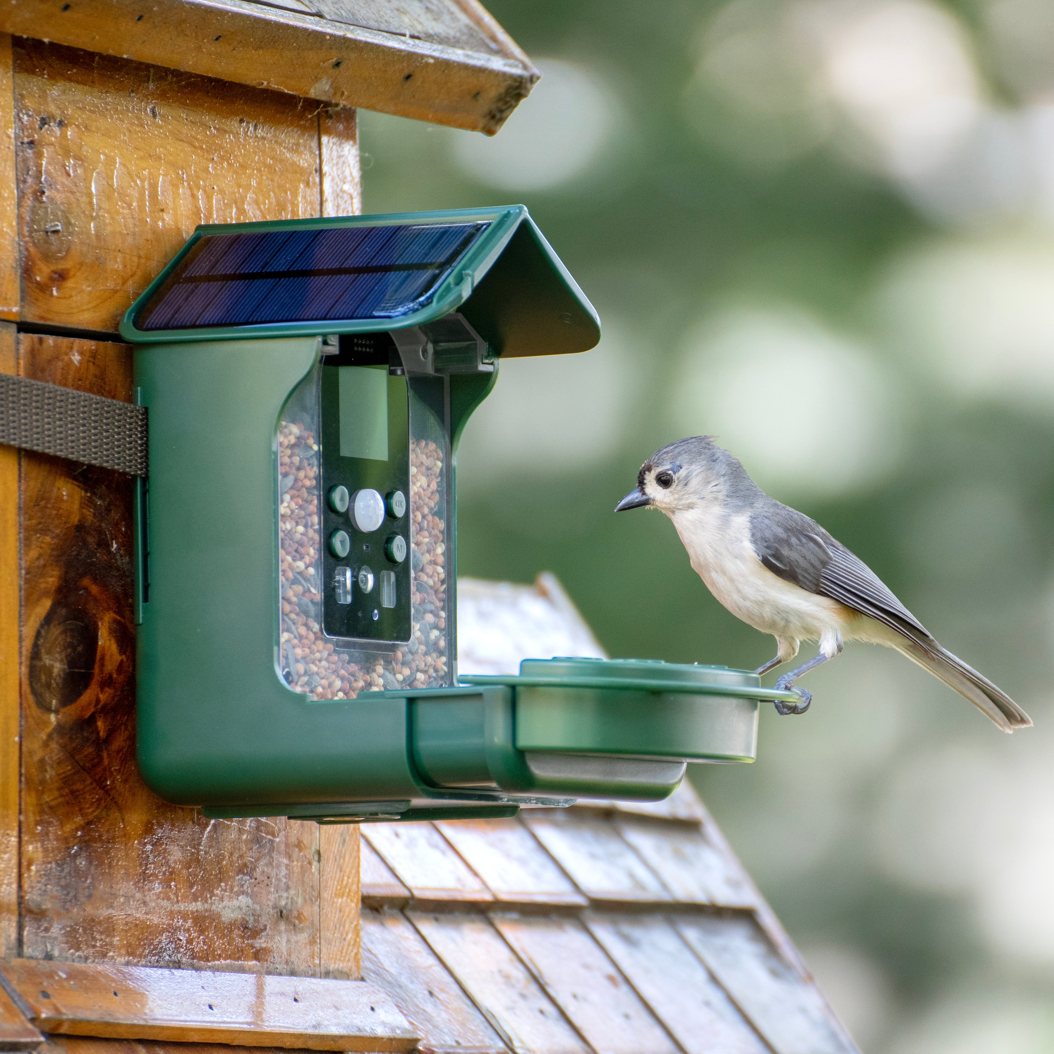 Bresser Bird Feeder Camera