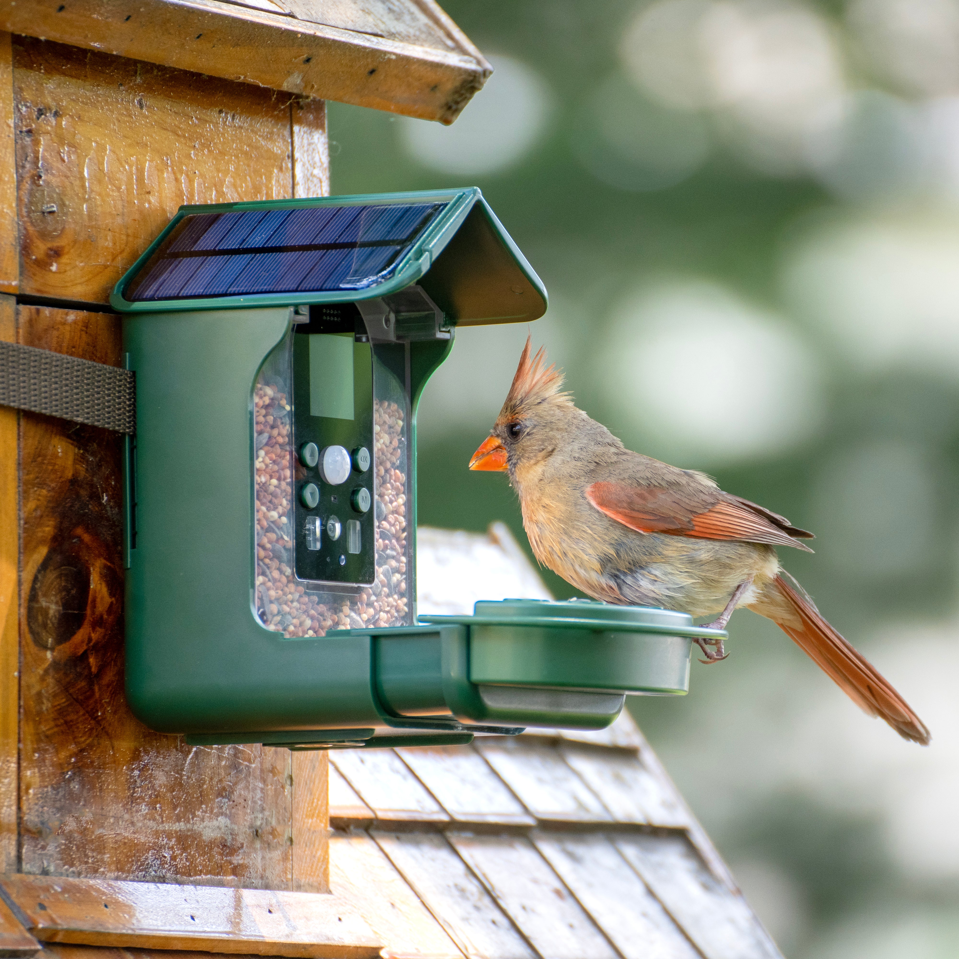 Bresser Bird Feeder Camera