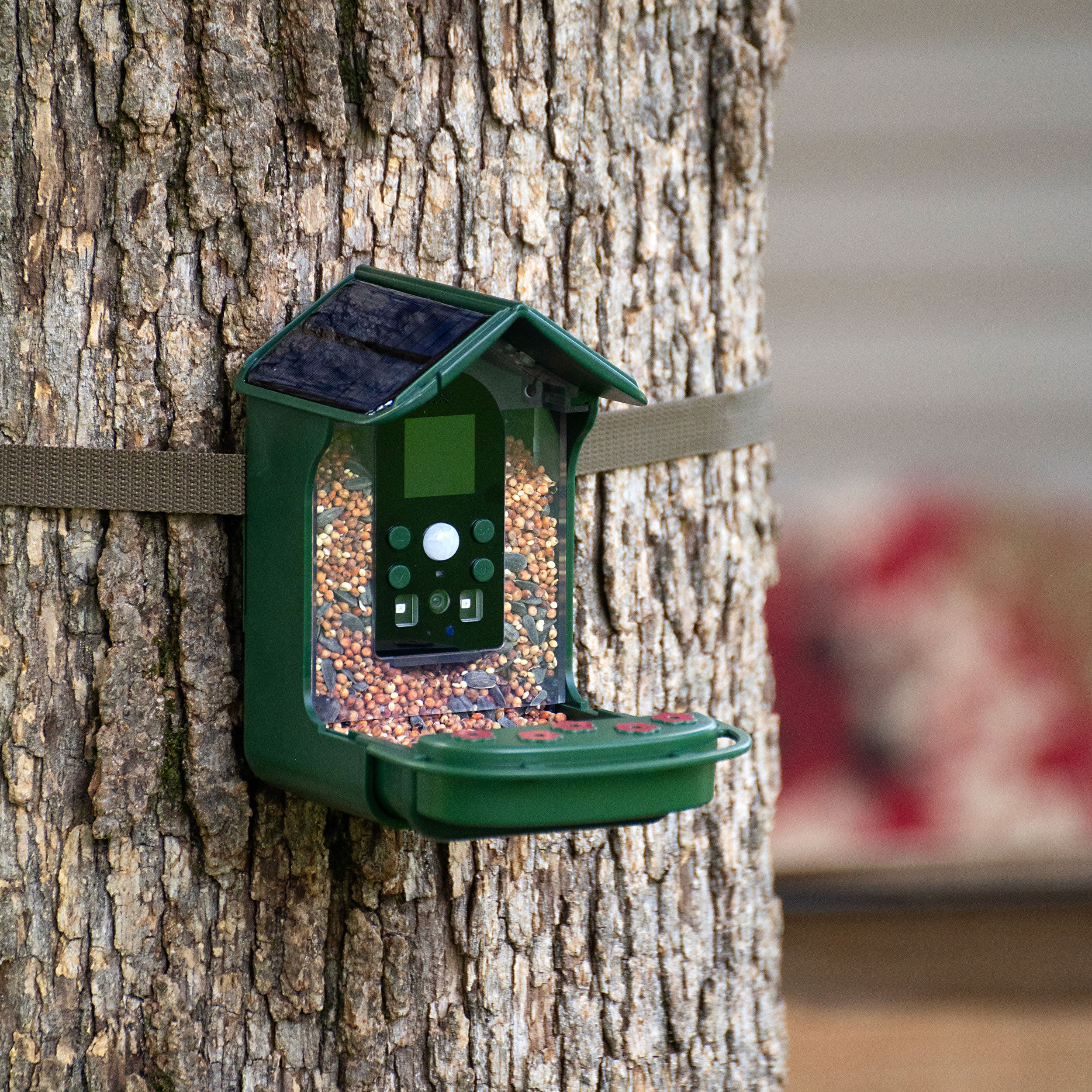 Bresser Bird Feeder Camera